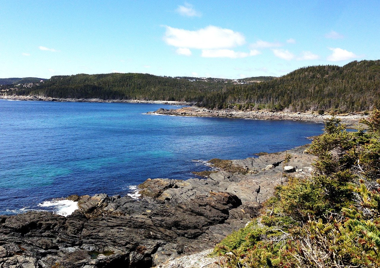 Norris point