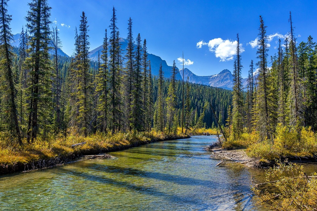 Jasper Alberta