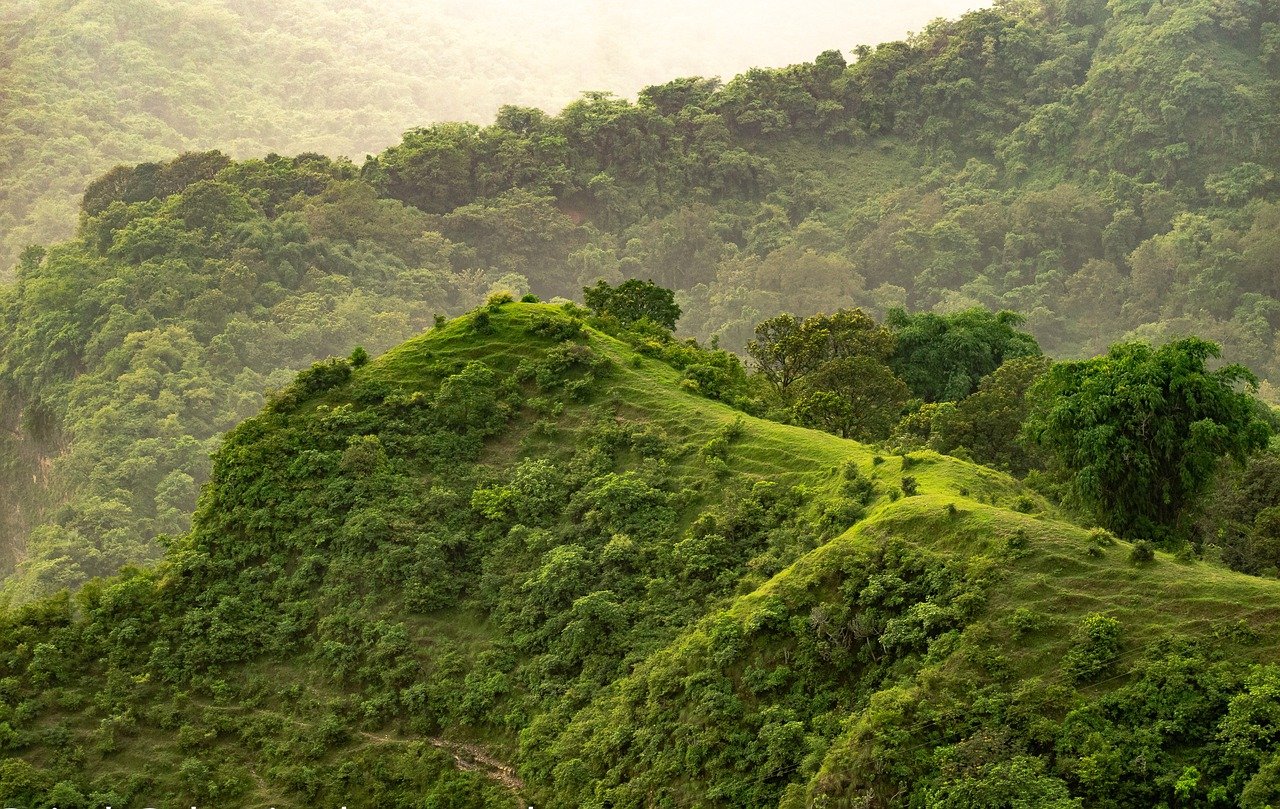hills of Purulha