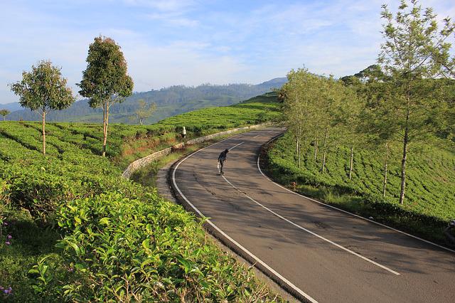 Hilly places Malaysia