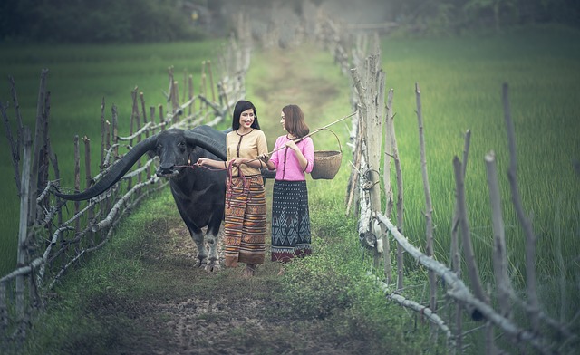 Rural life in Cardamom mountain Cambodia