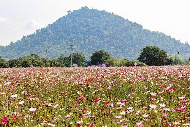 hilly places in Cambodia