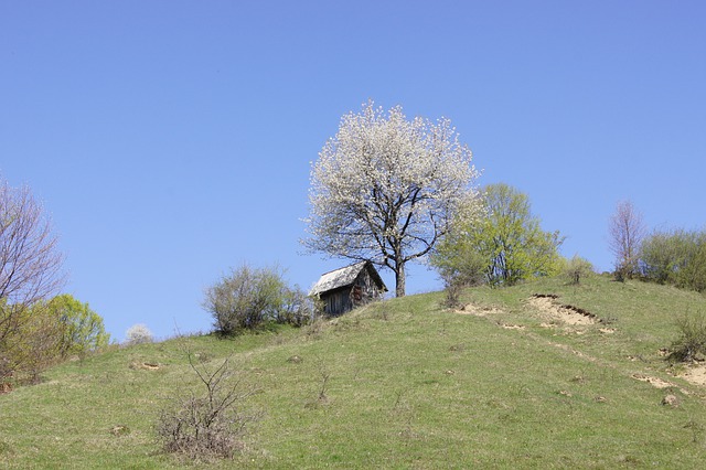 Romania famous hill stations